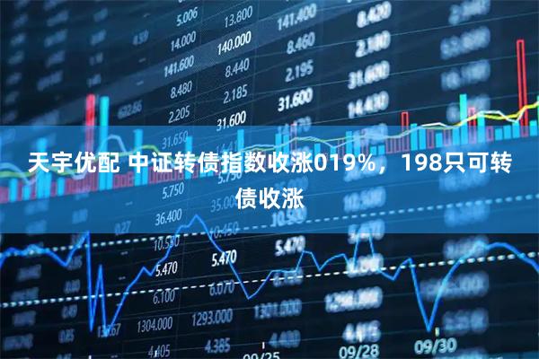 天宇优配 中证转债指数收涨019%，198只可转债收涨